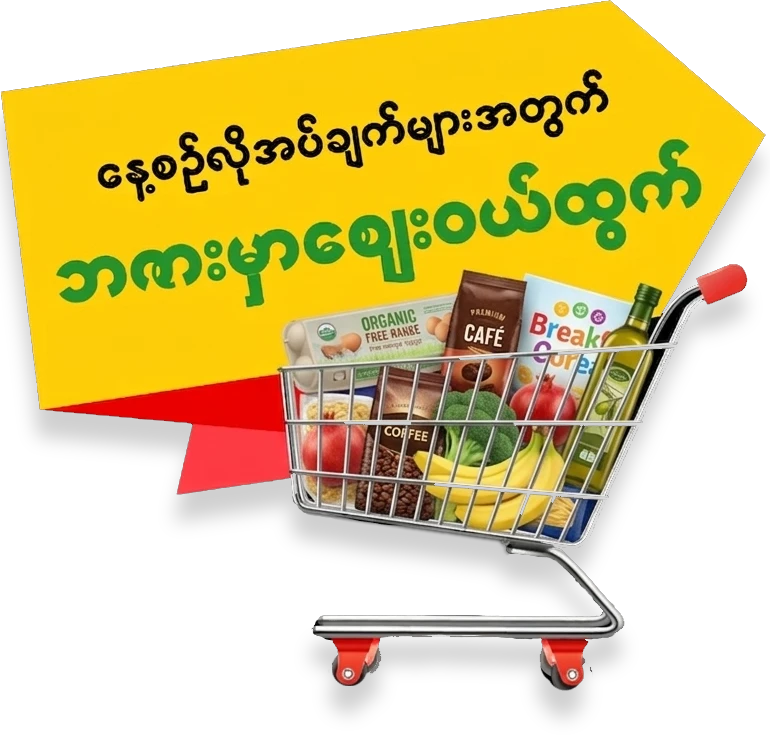 Shopping cart with groceries